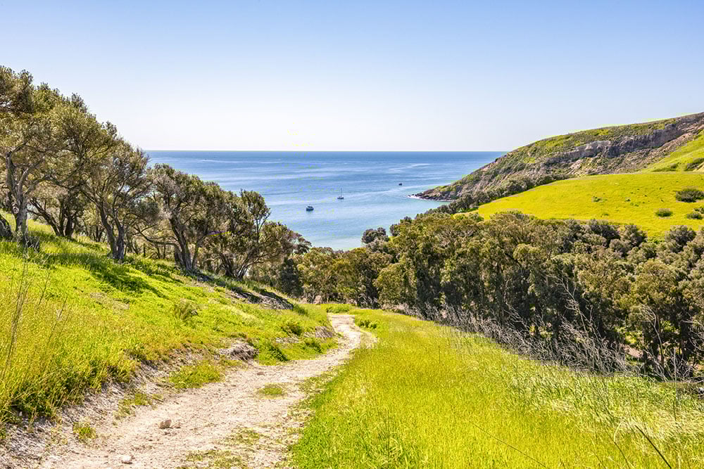 Southern California's Trail Treasures: 7 Hikes That Will Take Your Breath Away