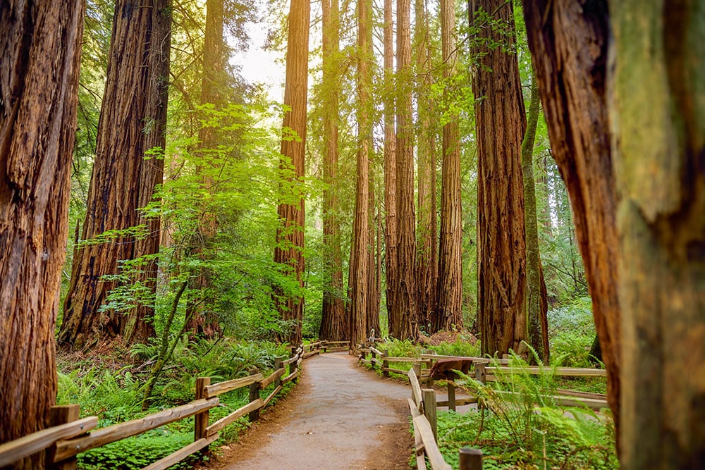 The Weird Side of the Golden State: 11 California Spots You Won't Believe Exist
