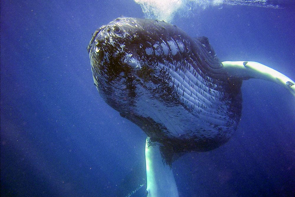 Rewrite Your Bucket List: 8 Extraordinary Challenges That Spark True Personal Growth