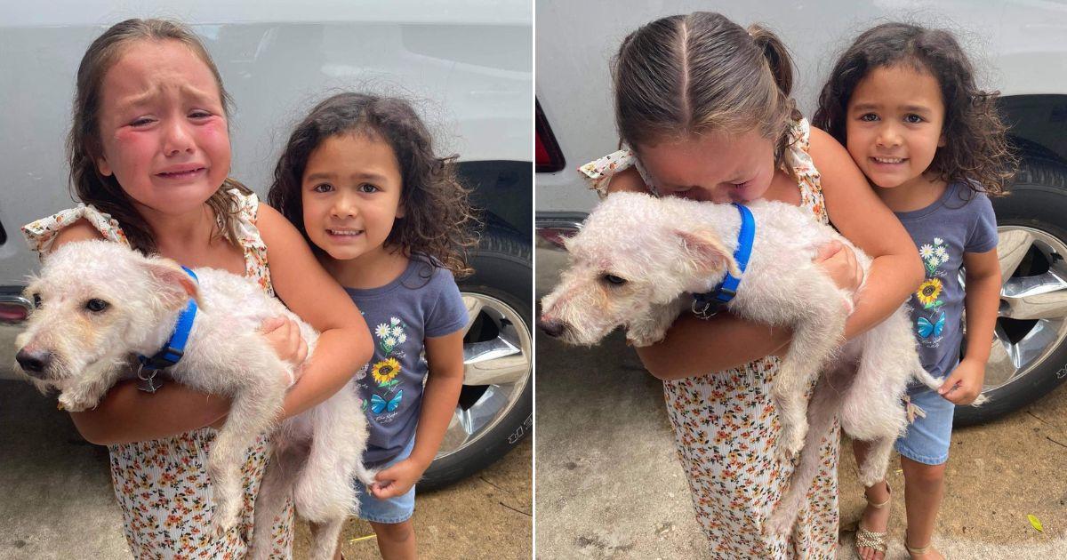 Two Months Apart Ends In Tears Of Joy As Girl Reunites With Lost Dog