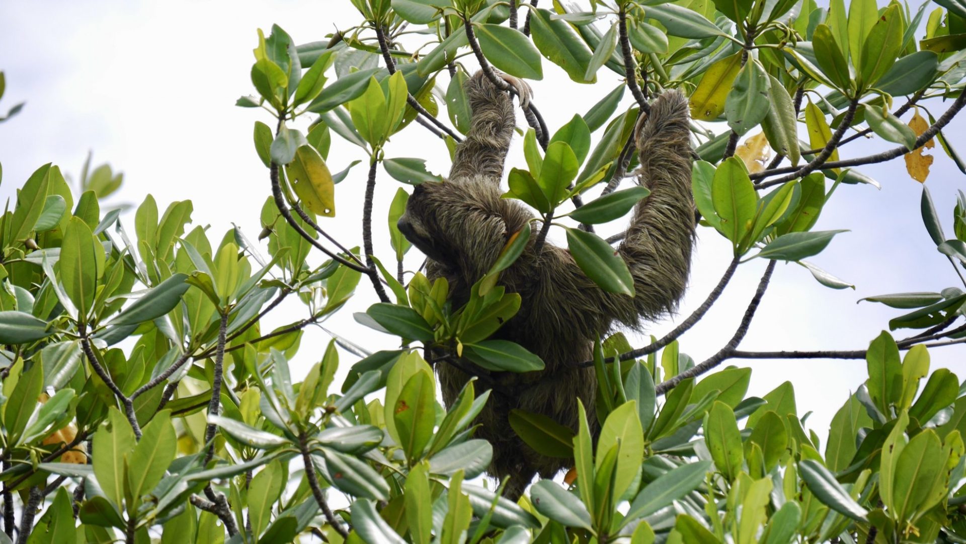 Costa Rica - Top 6 der schönsten Nationalparks