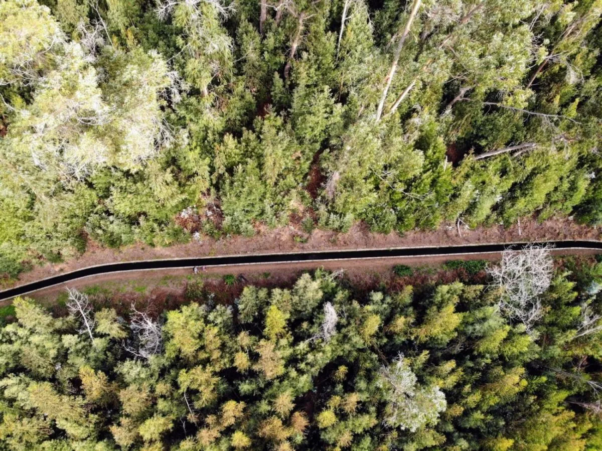 Die 5 schönsten Levada Wanderungen auf Madeira