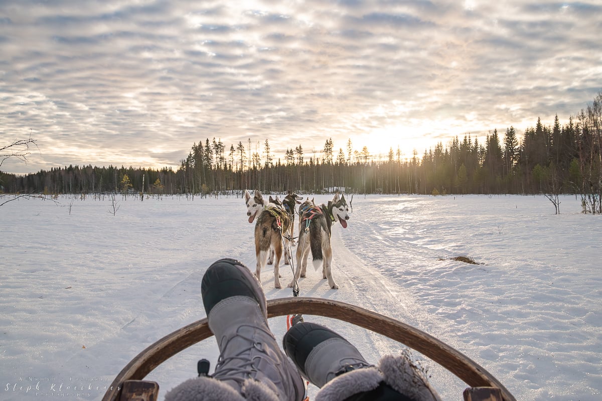 Lapland Who? North Savo is Finland’s Best-Kept Winter Secret